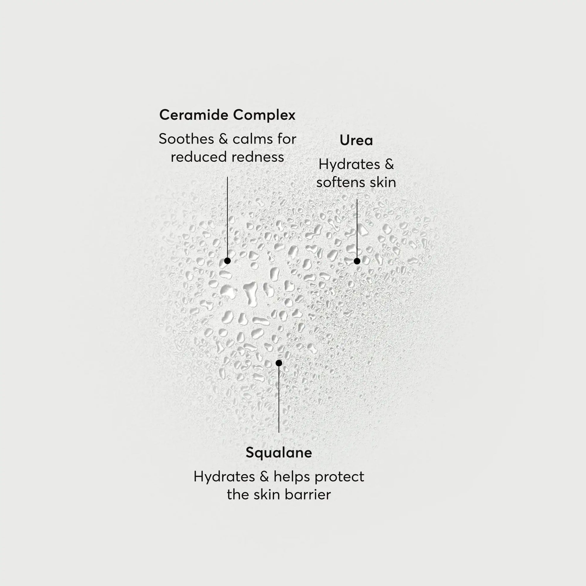 barrier-bounce-bi-phase-mist-f0 NATR-10167-Alt-Images-Barrier-Bounce-Bi-Phase-Toner-Mist_01.webp
